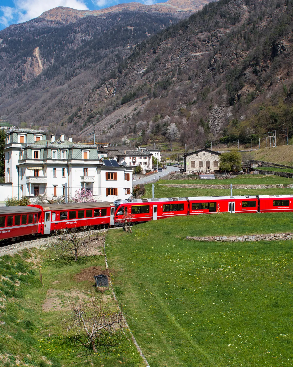 Red Bernina Railway train passing an Italianate village in a green alpine valley on the line between Tirano and St. Moritz